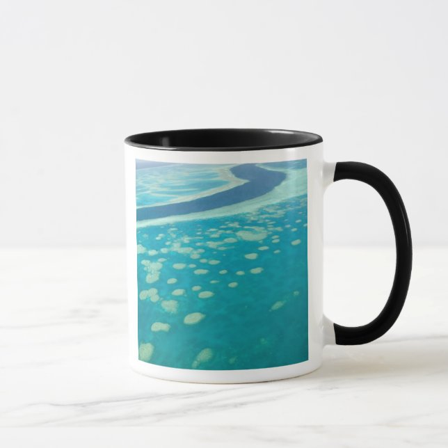 Caneca Austrália, Queensland, costa de Whitsunday, Excele (Direita)