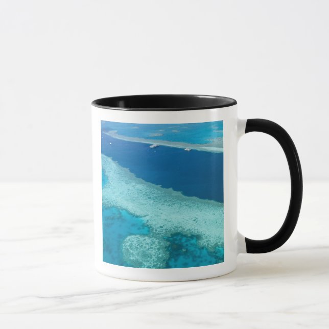 Caneca Austrália, Queensland, costa de Whitsunday, Excele (Direita)