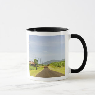 Caneca Austrália, Queensland, Costa Norte, Babinda.