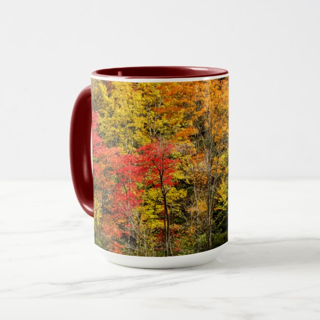 Caneca Autumn at Sims Pond North Carolina, Blue Ridge (Frente Esquerda)