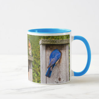 Caneca aves azuis