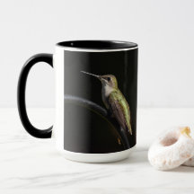 Aves-humanos em preto