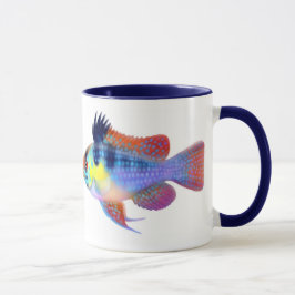 Caneca azul alemão da cichlidae do anão da ram