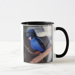 Caneca azul do boodle