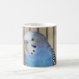 Caneca azul do Parakeet