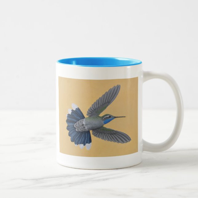 caneca Azul-throated do Dois-tom do colibri (Direita)