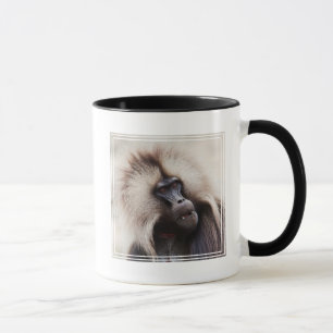 Caneca Babuíno Gelada, Etiópia