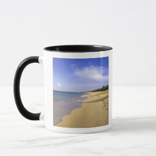 Caneca Baía Longa praia de Long Bay, St. Martin,
