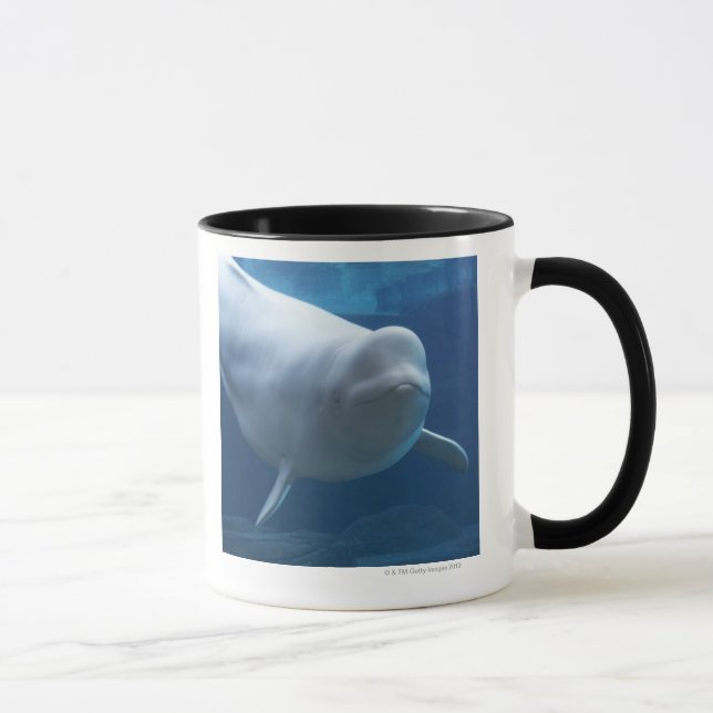 Caneca Baleia da beluga (leucas do Delphinapterus) (Direita)
