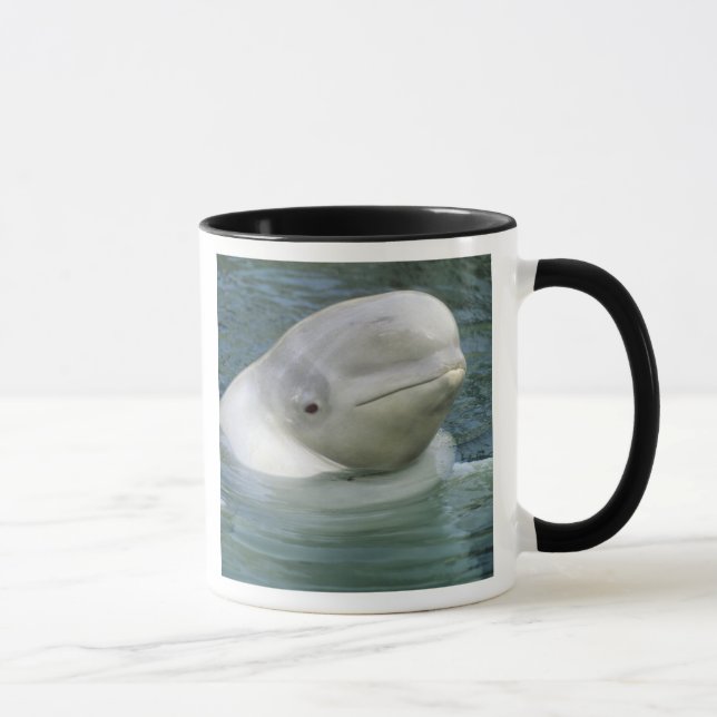 Caneca Baleia de Beluga, Delphinapterus leucas) (Direita)