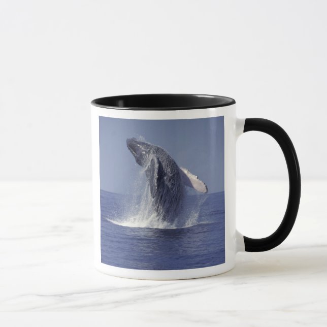 Caneca Baleia-jubarte saltando (Megaptera (Direita)