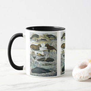 Caneca Baleias, Focas e Walruses, Animais Marinhos Antigo