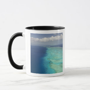 Caneca Barreira de Malolo ao largo da Ilha Malolo, Fiji
