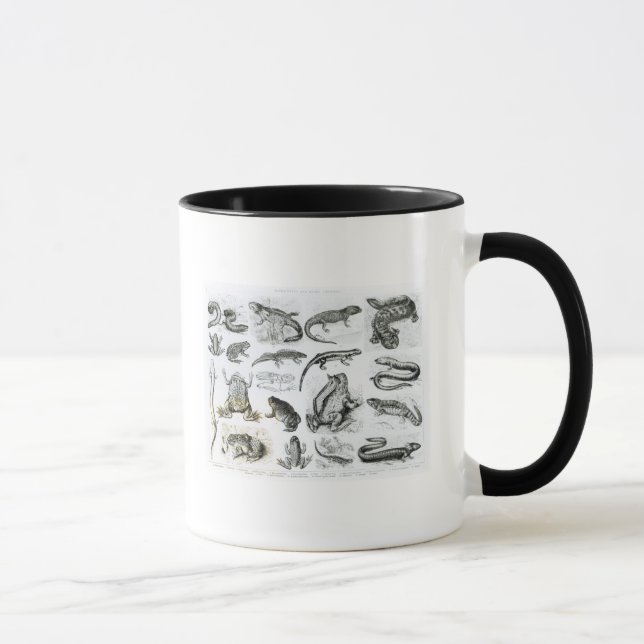 Caneca Batráquios e outros anfíbios (Direita)