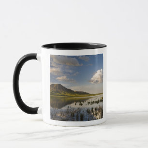 Caneca Bear Butte se reflete no lago Bear Butte perto