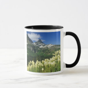 Caneca Beargrass perto de Logan Pass no Gacier National