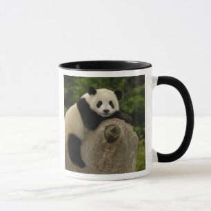 Caneca Bebê de panda gigante