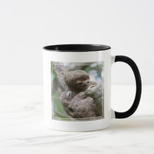 Caneca Bebê de Preguiça com Mãe Pendurada em uma Árvore
