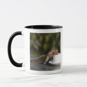 Caneca Bebendo do esquilo do copo de café no indiano
