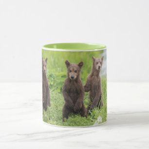 Caneca Bebês Mais Pobres   Camchatka Brown Bear Cubs