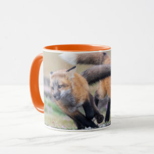 Caneca Bebês Mais Pobres Fox Pups em Play