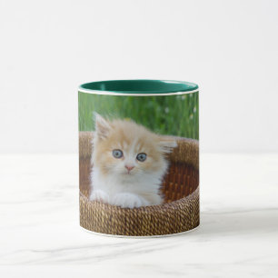 Caneca Bebês Mais Pobres   Kitten Azul