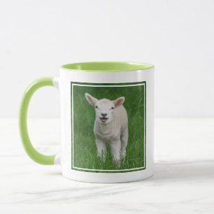 Caneca Bebês Mais Pobres   Lil Lamb