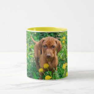 Caneca Bebês Mais Pobres   Pointer Puppy