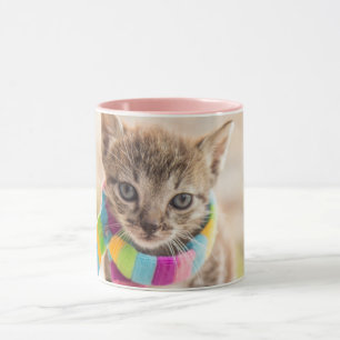 Caneca Bebês Mais Pobres   Tabby Kitten Rainbow Scarf