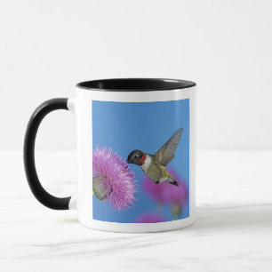 Caneca Beija-flor-de-garganta-rubí