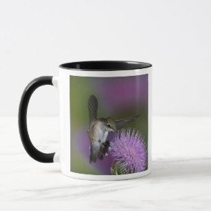 Caneca Beija-flor-de-garganta-rubi em voo com este carunc