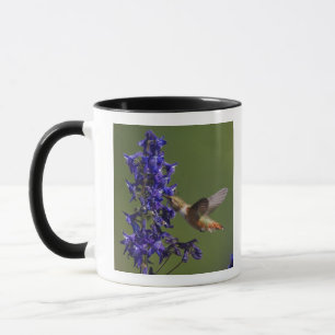 Caneca Beija-flor-ruivo