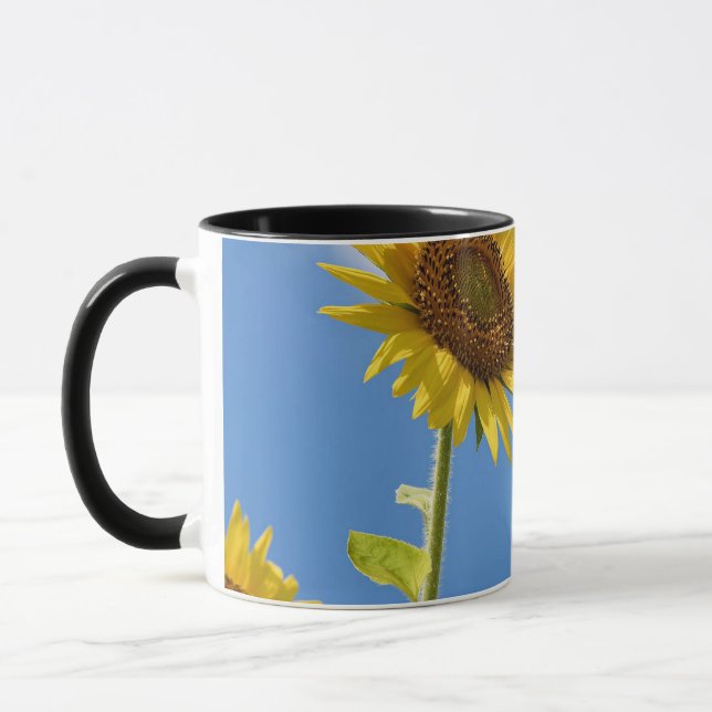 Caneca belas flores solares com céu azul nublado (Esquerda)