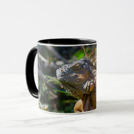Caneca Belizean Orange Iguana - Fotografia