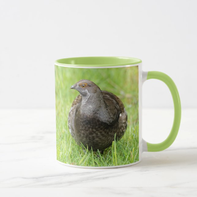 Caneca Belo Agrupamento de Sooty Gamebird na Grama (Direita)