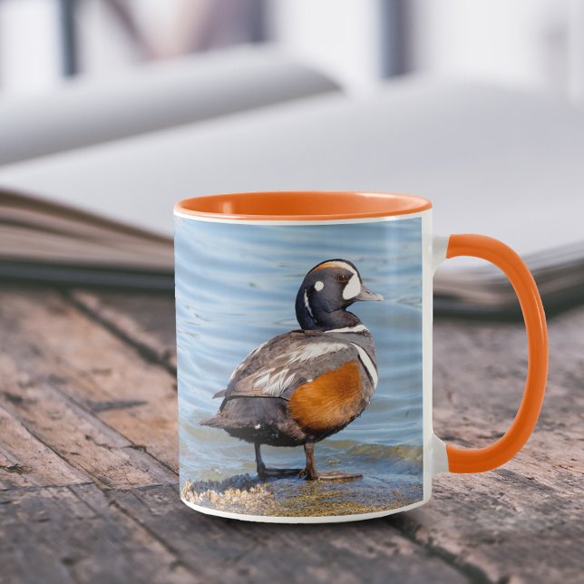 Caneca Belo Duque Harlequin na Rock (Harlequin Duck on the Rocks 11 oz Coffee Mug Cover Photo.)