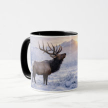 Belo Feriado de Natal Alce na Neve