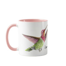 belos beija-flores em voo