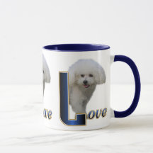 Bichon Furgts