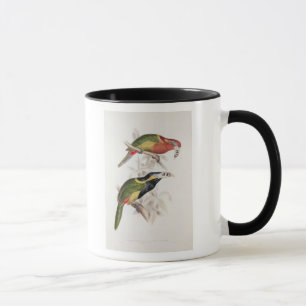Caneca Bill manchado Aracari, século XIX