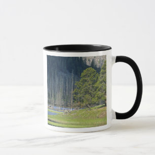 Caneca Bisão com bezerro no Parque Nacional de Yellowston