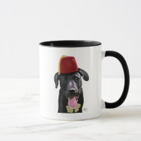 Black Labrador Com Fez