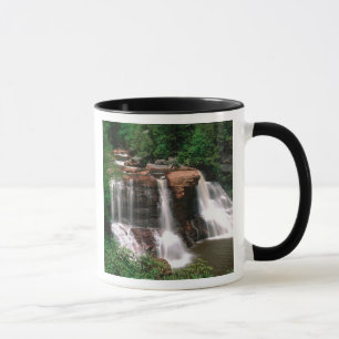 Caneca Blackwater Falls, Virgínia Ocidental, cênico,