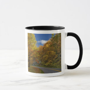 Caneca Blue Ridge Parkway curvando através das cores de o