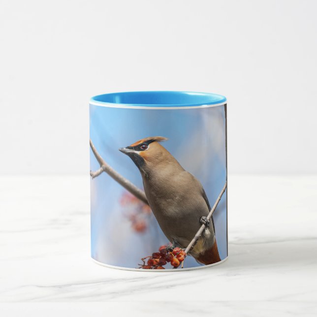 Caneca Bohemian Waxwing - Canadense Willife - Fotografia (Centro)