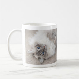 Caneca bonito do gato de Ragdoll
