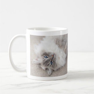 Caneca bonito do gato de Ragdoll