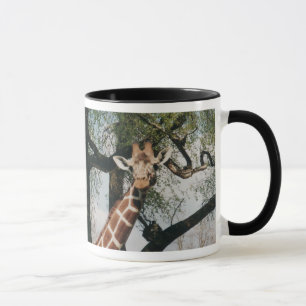 Caneca bonito do girafa