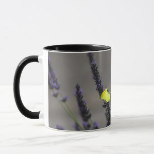 Caneca Borboleta Amarela na Foto Macro de Lavanda Roxa