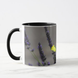 Caneca Borboleta Amarela na Foto Macro de Lavanda Roxa